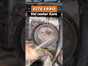 Leia mais sobre o artigo Erro que muitos cometem! #combustivel #gasolina #mecanica